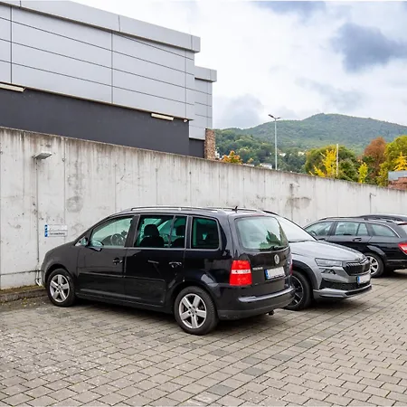 Apartmán Weinstrassenzauber Mitten In Nw Incl Parkplatz Neustadt an der Weinstraße